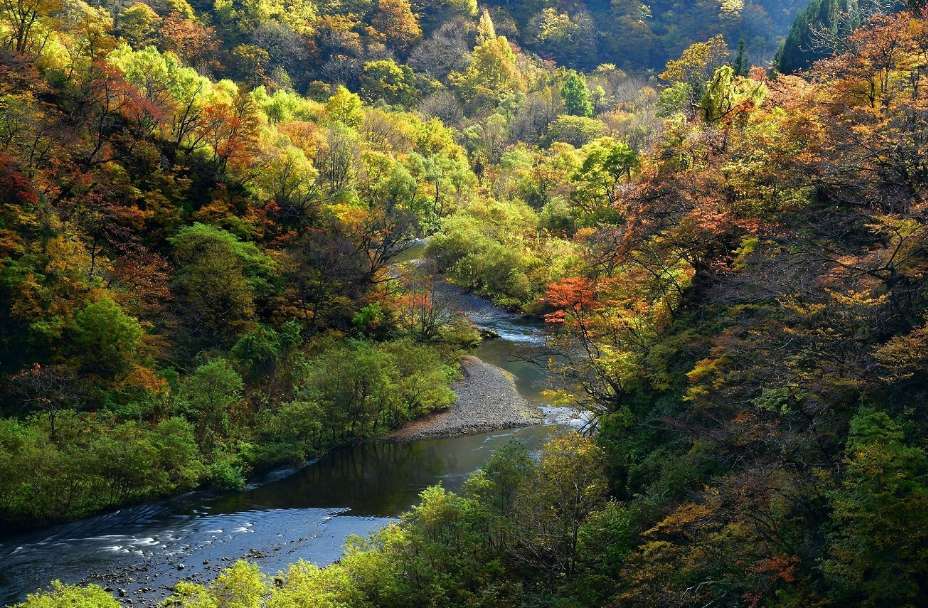 胎内市