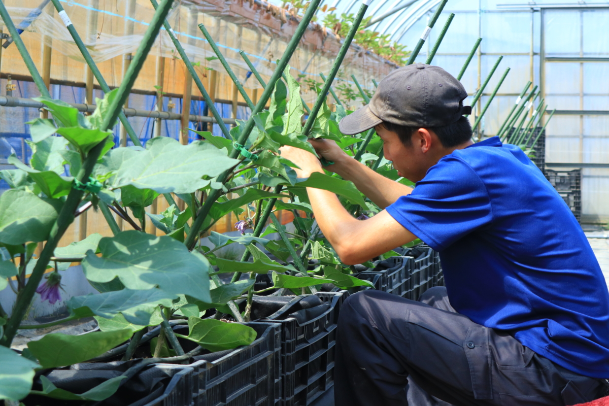 阿賀野市就農 移住オンライン相談会を開催します にいがた暮らし 新潟へのｕターン 移住情報が満載